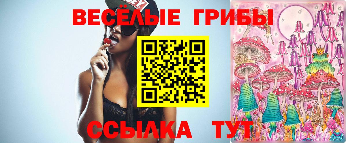 сколько стоит  Вход с VPN  Владимир  Псилоцибиновые грибы ЛСД 