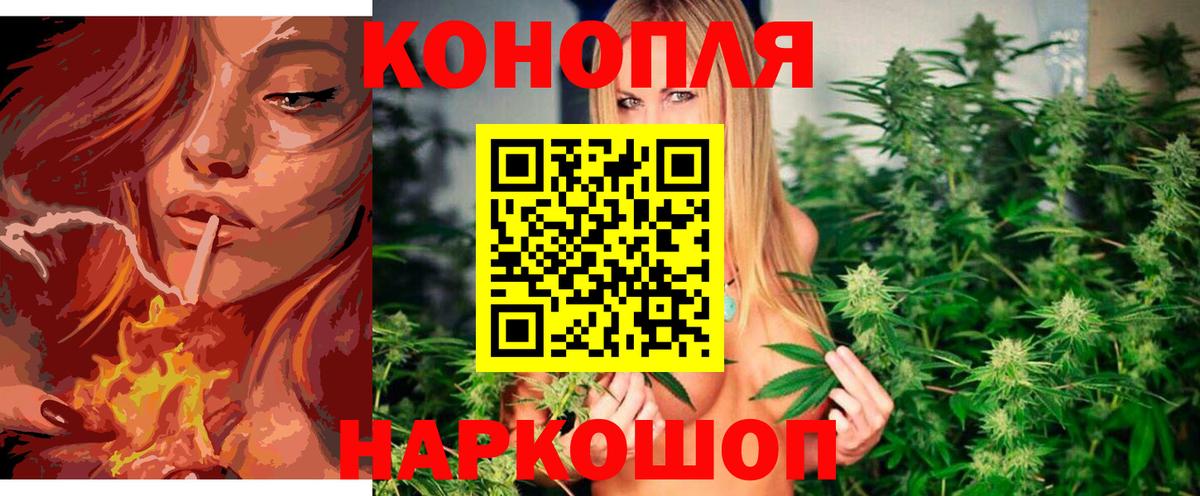 Бошки Шишки Ganja  Конопля тримм  Владимир  Вход с VPN  Марихуана White Widow  Конопля AK-47 